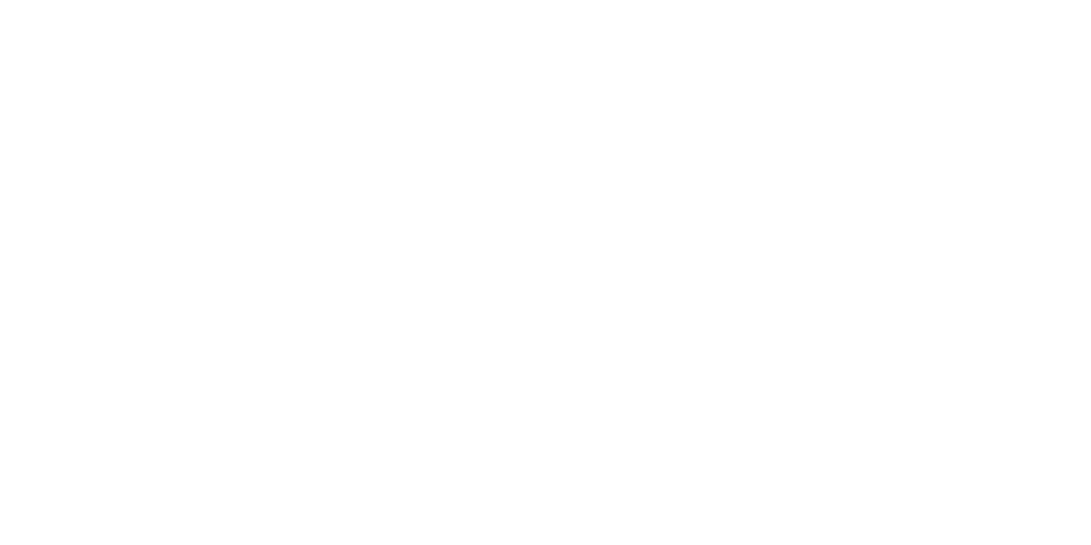 Icona consegne dirette in tempi rapidi